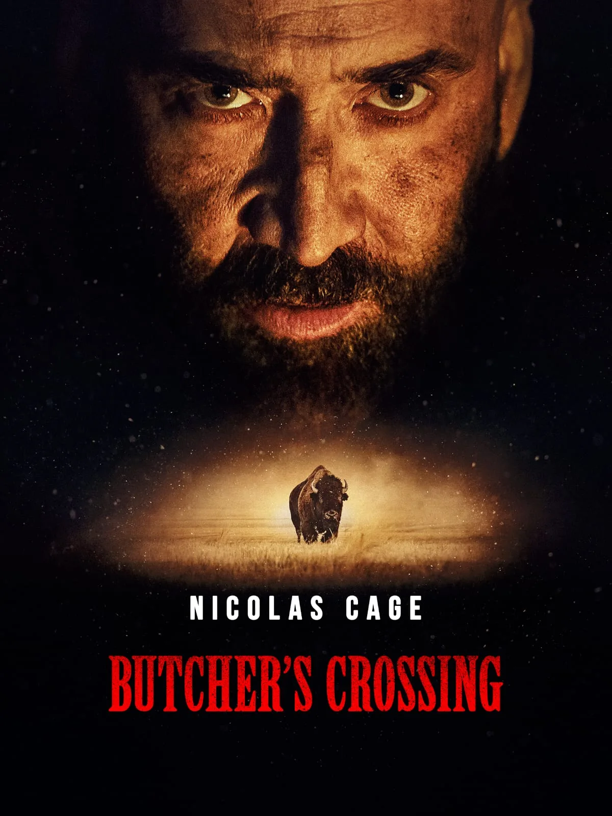 Free Filmy4web Butchers Crossing (2022) Full Movie BluRay ESub